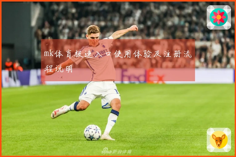 mk体育极速入口使用体验及注册流程说明